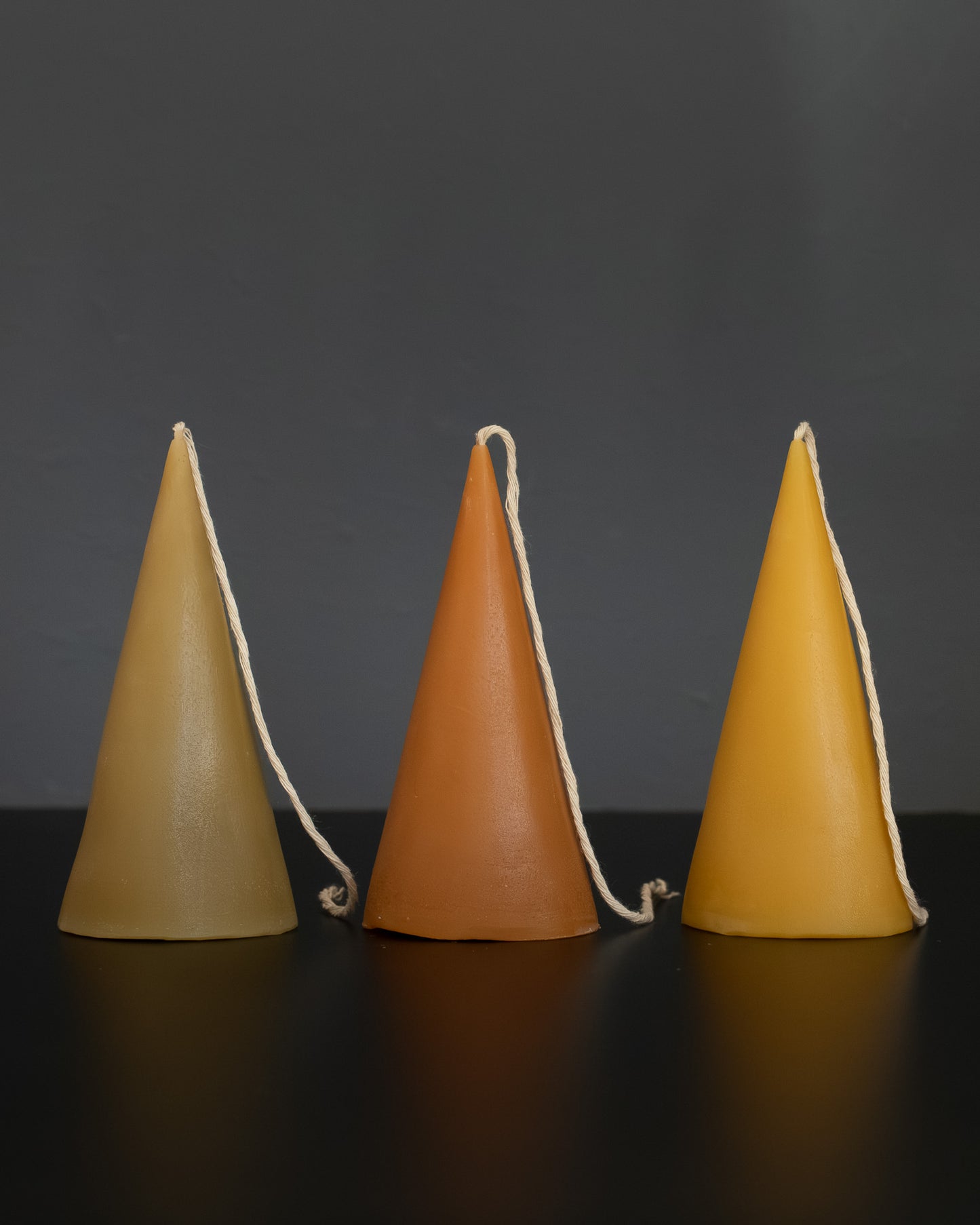 Cone Beeswax Candle - Botanical Collection