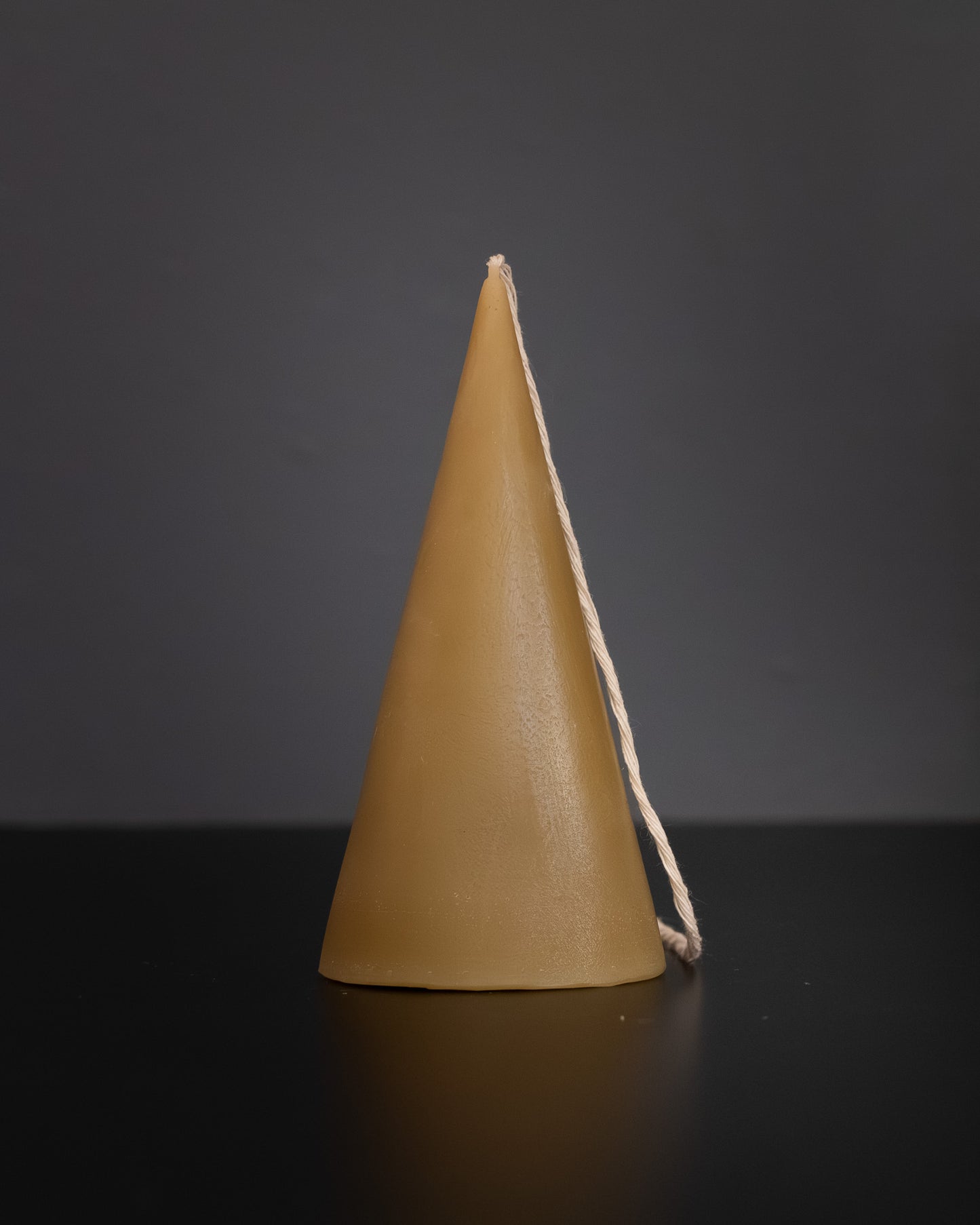 Cone Beeswax Candle - Botanical Collection