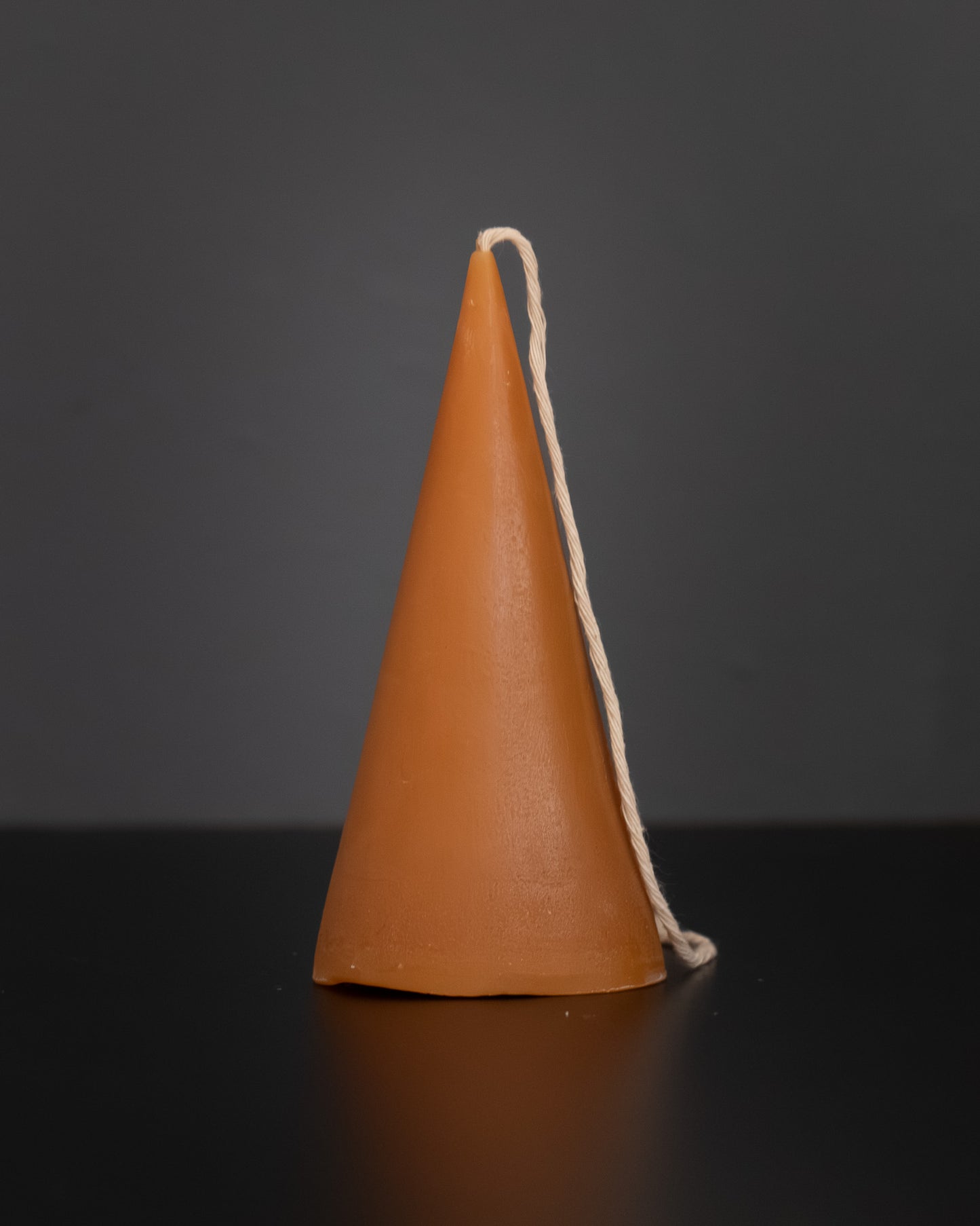 Cone Beeswax Candle - Botanical Collection