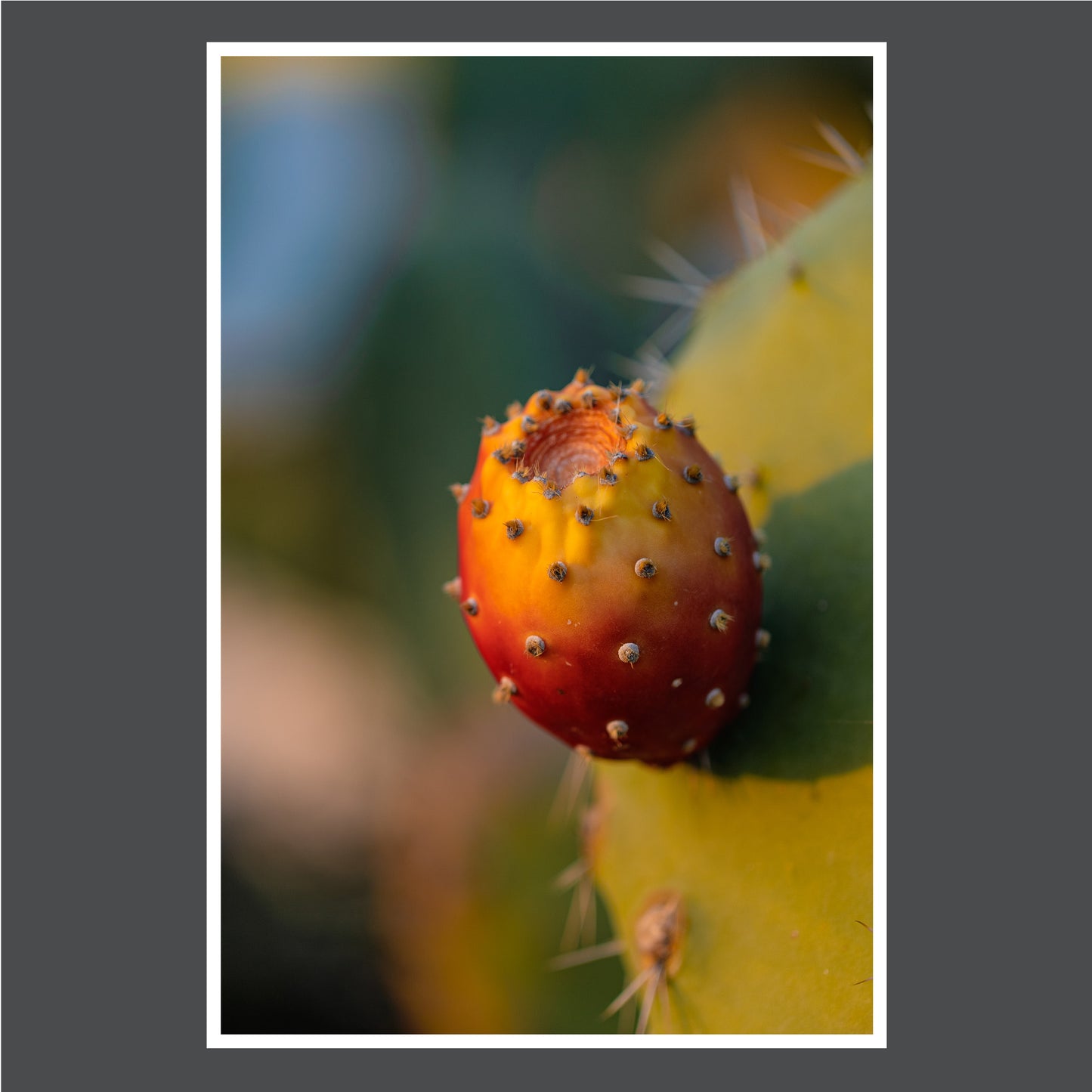 Postcard Set - Glimpses (Nafplio)